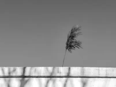 Cazino Classy Slots Cazinou Aplicație mobilă